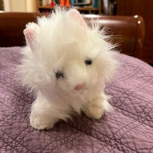 Webkinz Persian Cat
